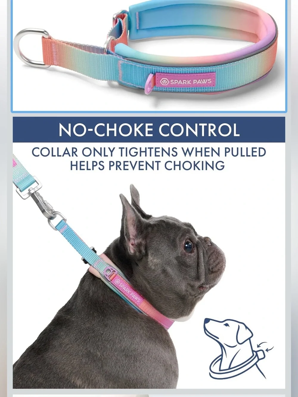 Spark Paws Pink & Blue Gradient Reflective Dog Collar size C